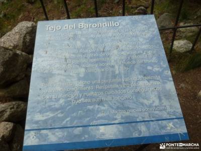 Tejos Rascafría-Valhondillo o Barondillo;la provenza albacete yacimiento de numancia las chorreras 